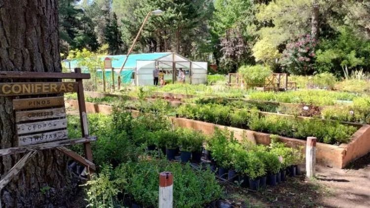 El Vivero Municipal de Pehuen Co, una pausa verde ideal para el verano