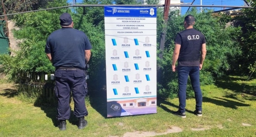 Orden de internaci&oacute;n: descubren marihuana y un arma en un domicilio de Punta Alta