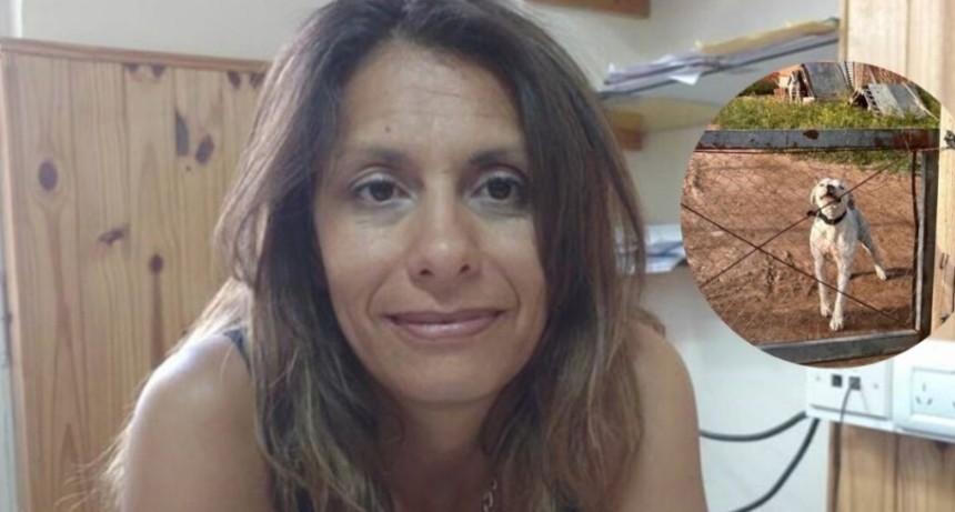 Perros peligrosos: &ldquo;El Tribunal de Faltas solo puede ordenar traslados&rdquo;, explic&oacute; Mon&aacute;rdez