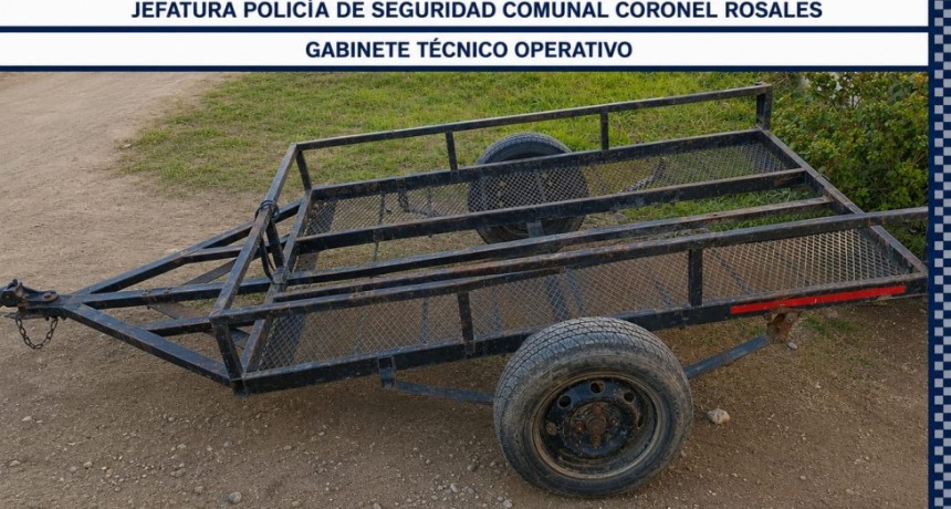 Allanamiento positivo por hurto de un carro de dos ruedas en Bah&iacute;a Blanca