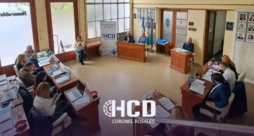 El Concejo Deliberante rosale&ntilde;o: entre el espect&aacute;culo y la degradaci&oacute;n institucional