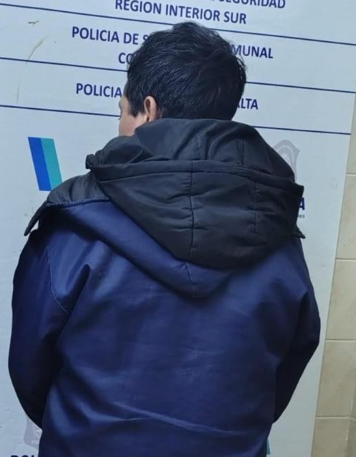 Aprehendido por lesiones agravadas por el v&iacute;nculo e infracci&oacute;n a la Ley 12.569