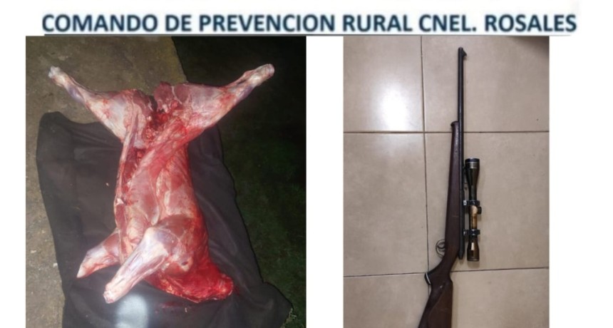 Punta Alta: aprehendieron a tres personas con 200 kilos de carne vacuna y una carabina