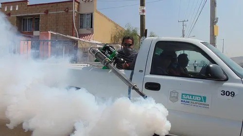 Continúan las tareas de fumigación en Rosales