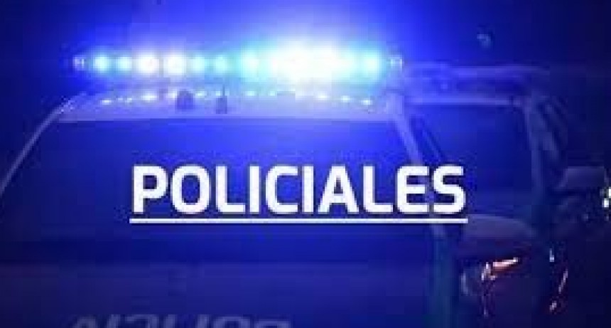Intervención policial en el Parque San Martín durante los festejos
