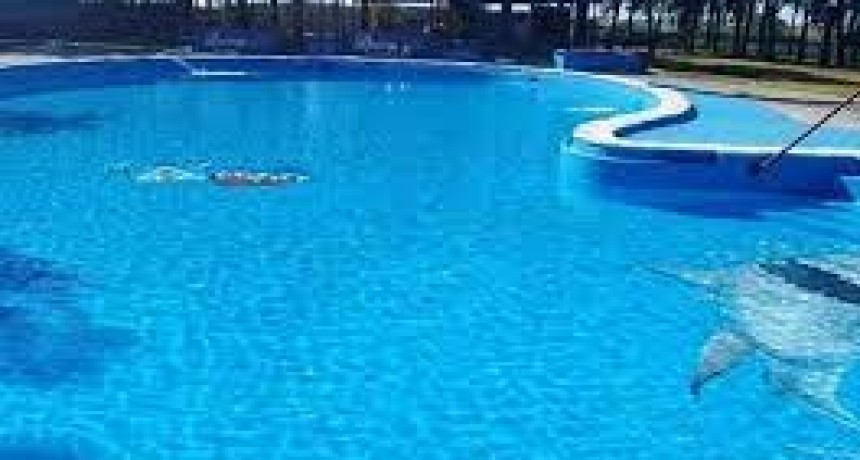 2&ordf; etapa de colonia de vacaciones en la pileta de Rosario