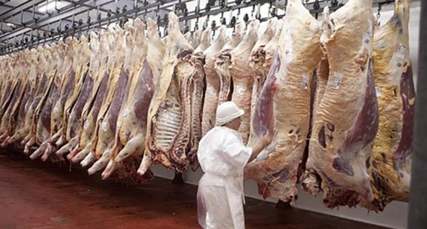  El precio de la carne se desaceler&oacute; y la suba es 30 puntos menor a la inflaci&oacute;n general 