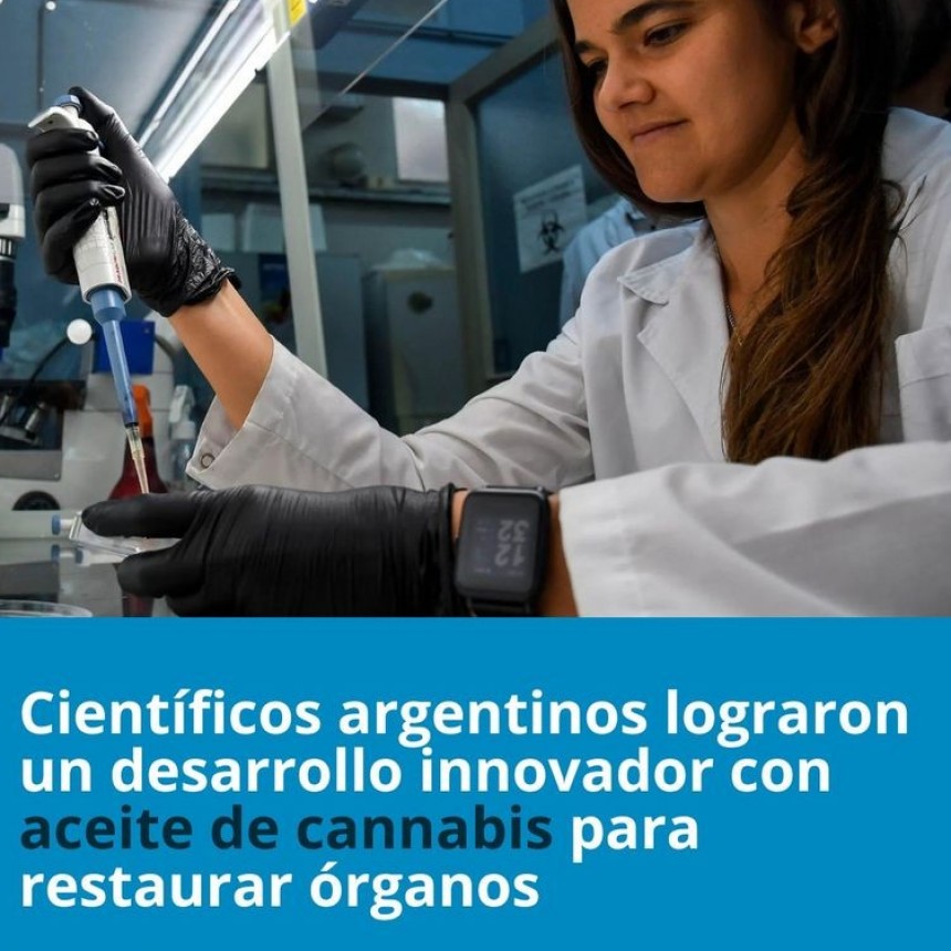 UNA NOVEDAD A NIVEL MUNDIAL