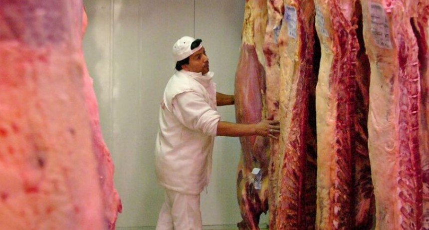  Invierten US$4 millones en un frigor&iacute;fico que crear&aacute; 300 empleos 