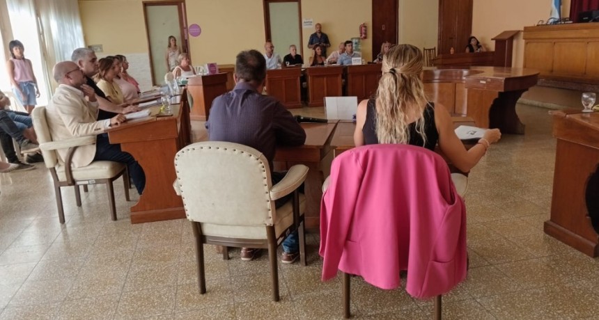 Media Sanci&oacute;n sobre Aumento de TSU del 160% con revisi&oacute;n Bimestral en el Cjo. deliberante Rosale&ntilde;o