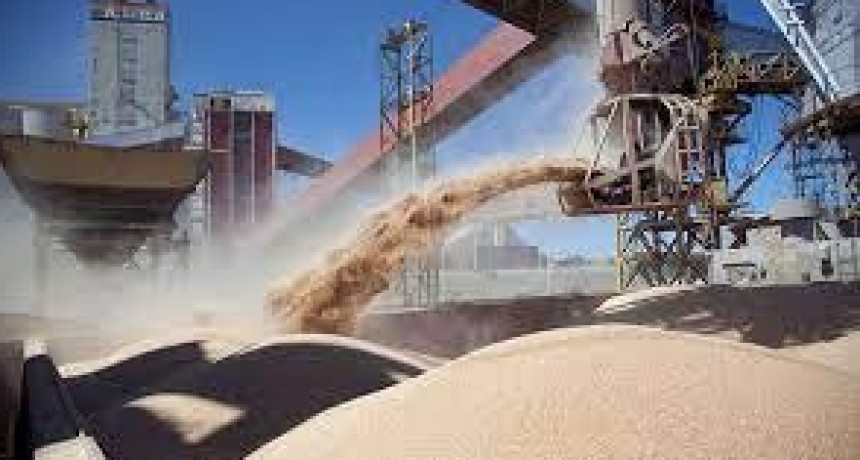 Las cerealeras mandaron una nota al jefe del bloque peronista y empiezan a juntar votos contra la ley &oacute;mnibus