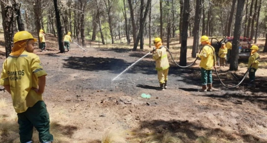 Rapida intervencion de bomberos en incendio en el Bosque Encantado
