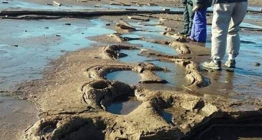  RESERVA NATURAL GEOL&Oacute;GICA, PALEONTOL&Oacute;GICA PEHUEN CO MONTE HERMOSO, su preservaci&oacute;n y la afectaci&oacute;n en estos espacios naturales de la medidas en el DNU y LA LEY &ldquo;OMNIBUS &ldquo; del PE NAC.