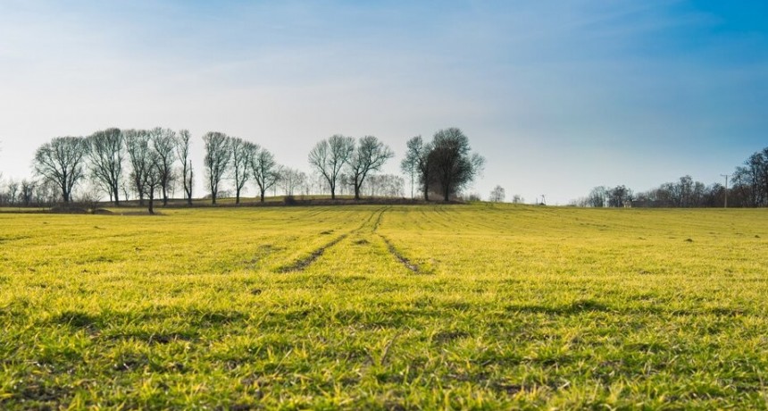 El juez Kreplak suspendi&oacute; el art&iacute;culo que derogaba la restricci&oacute;n de vender tierras a extranjeros