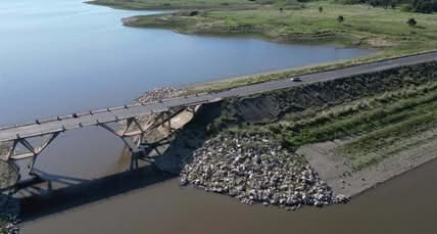 Un auto cay&oacute; al agua en el Dique Las Piedras