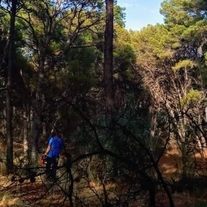 Manejo y gesti&oacute;n del riesgo en el Bosque Encantado de Pehuen Co