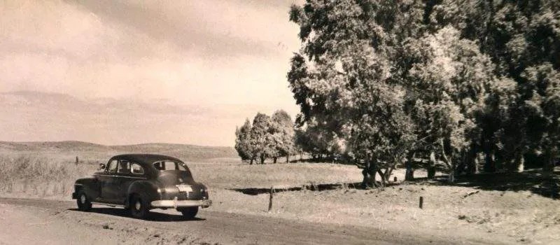 Historia de Pehuen-C&oacute;: el sue&ntilde;o de un bosque junto al mar