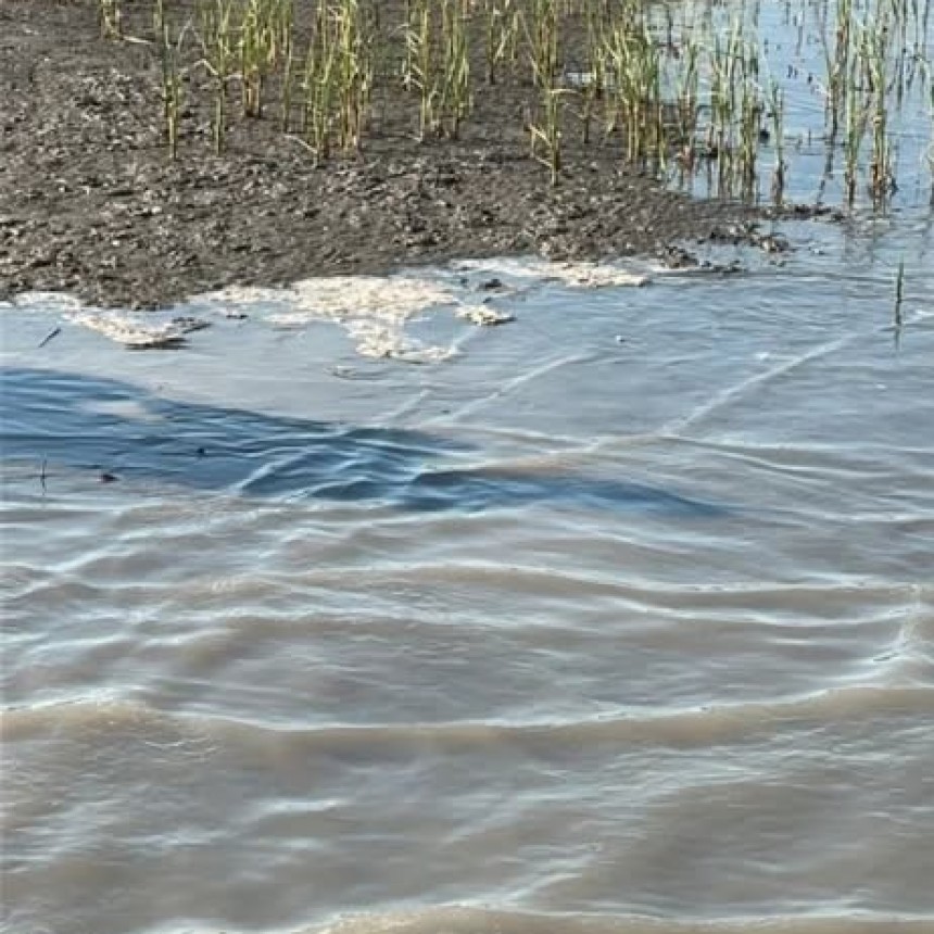 Derrame de petroleo en Puerto Rosales