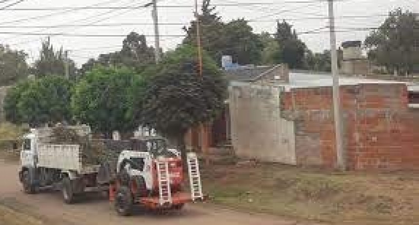 Recolecci&oacute;n de voluminosos de febrero en la ciudad