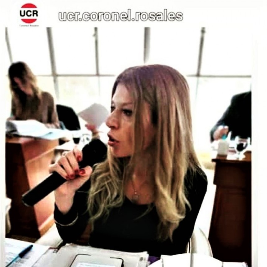 La UCR presenta proyecto de adhesion a la ley provincial N&deg;15.296, y as&iacute; establecer la capacitaci&oacute;n obligatoria en la tem&aacute;tica de discapacidad