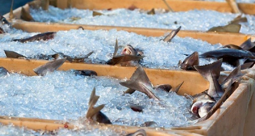 Alarma en Santa Fe por peces contaminados en el r&iacute;o Salado!!!
