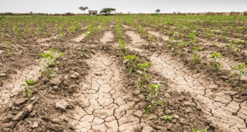 Los cr&eacute;ditos especiales para productores afectados por la sequ&iacute;a ya superaron los $5.000 millones