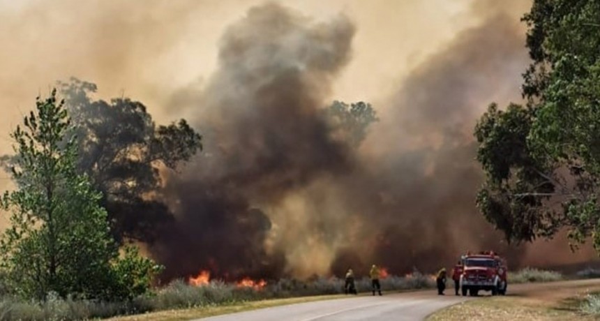 Un incendio oblig&oacute; a cortar el acceso a Monte Hermoso