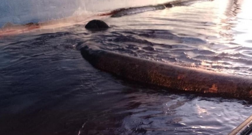 Denuncian un tercer derrame en Puerto Rosales y amenaza el suministro de gasoil para la cosecha gruesa