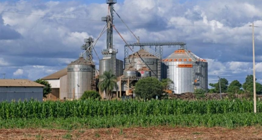 Biocombustibles: PyMES advierten contra intento de favorecer a &ldquo;grandes aceiteras&rdquo;