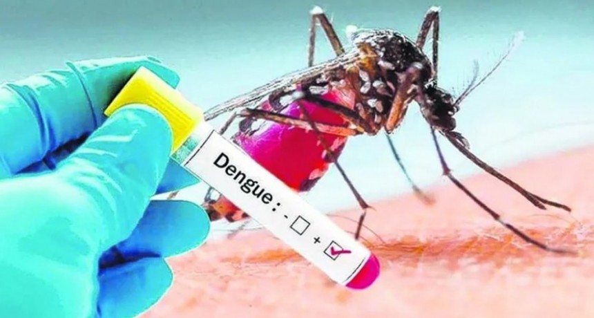 IMPORTANTE INFORMACION SOBRE EL DENGUE EN LA PROVINCIA DE BUENOS AIRES