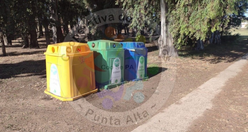 COOSEPA: Desaf&iacute;os y Determinaci&oacute;n de La Cooperativa en Tiempos Dif&iacute;ciles