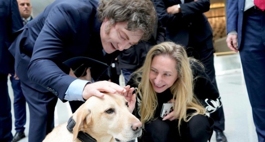 La estafa del Criptogate perfor&oacute; al Gobierno: M&aacute;s del 63% considera responsable a Milei