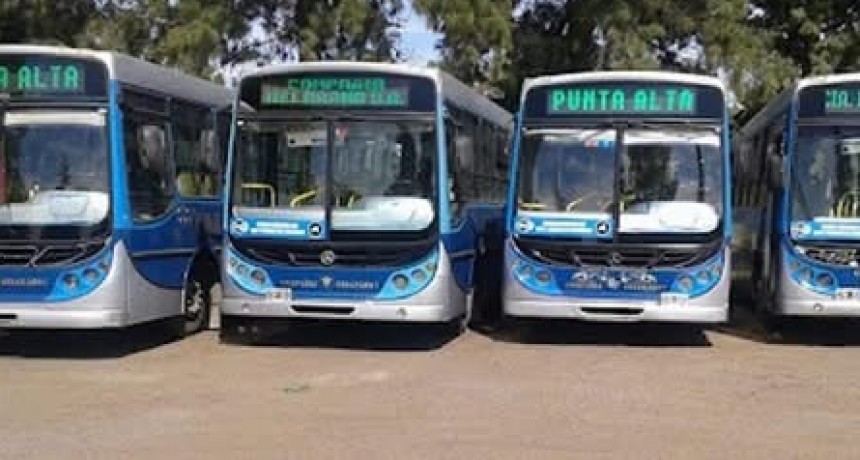 La Compañía de Ómnibus Belgrano asumirá el transporte urbano tras el cierre de Puntaltense