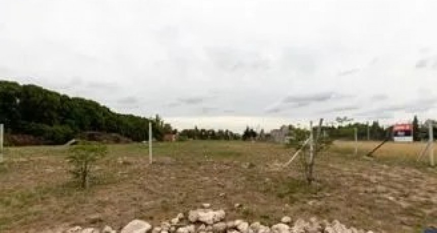 Reclaman que el Municipio publique el listado de terrenos fiscales para facilitar el acceso a la vivienda