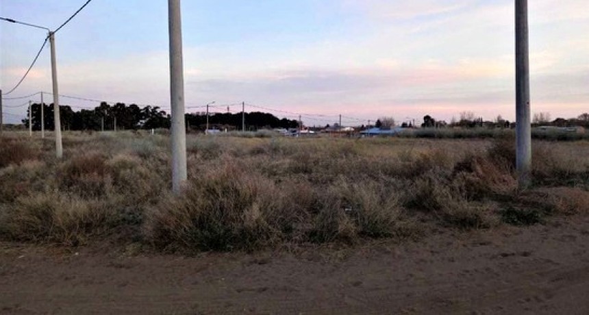 Politicas Habitacionales: Privados y la pata gremialista como alternativa para lograr proyectos en Rosales