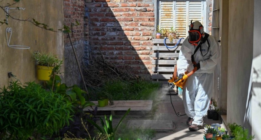 Dengue en Bah&iacute;a: reportan 19 casos confirmados y siguen los operativos de prevenci&oacute;n