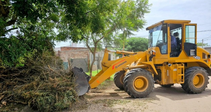 El municipio Rosale&ntilde;o lanza el Programa Integral de limpieza y mantenimiento Urbano. 