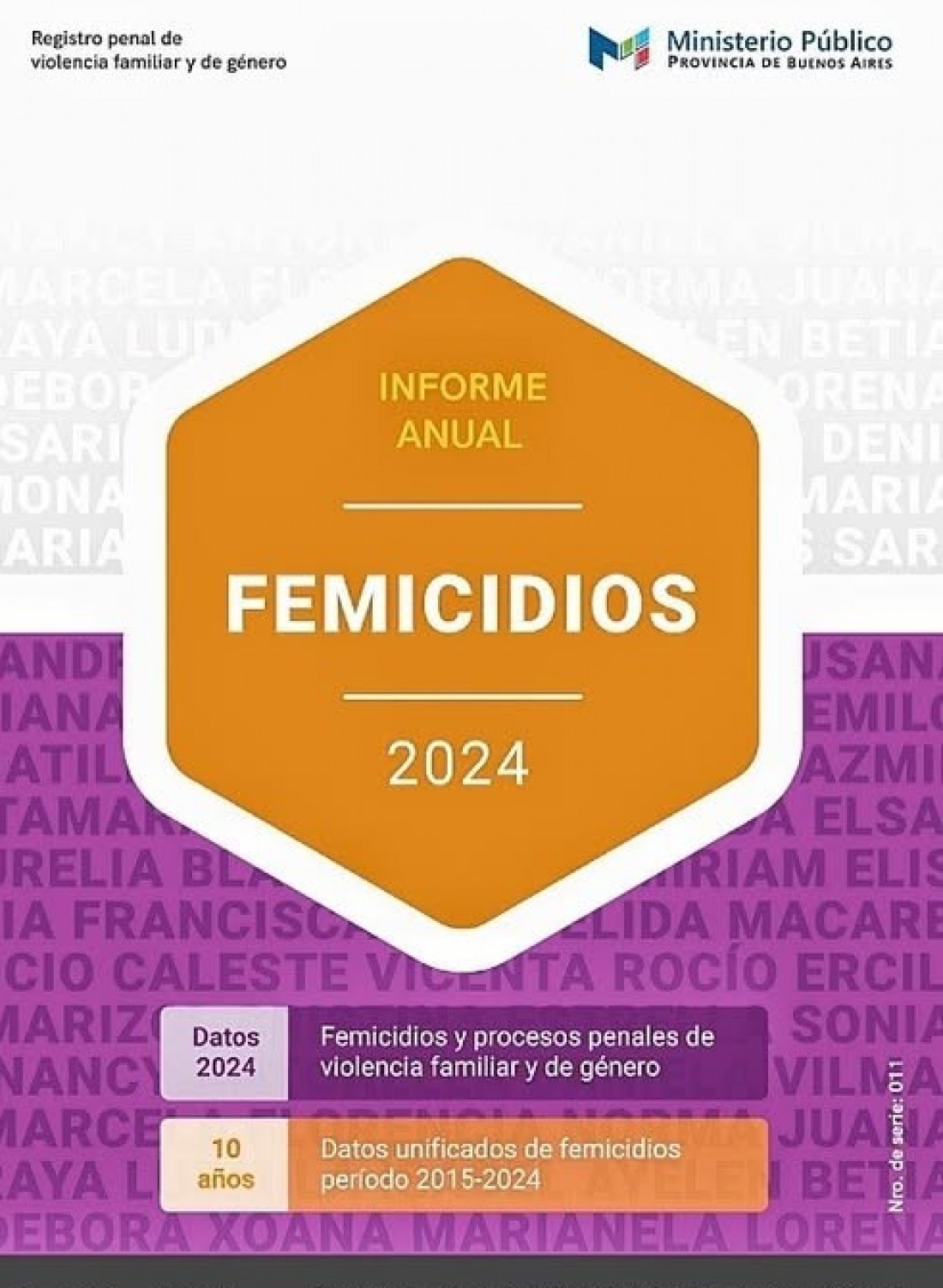En el a&ntilde;o 2024 se registraron 98 femicidios en la provincia de Buenos Aires