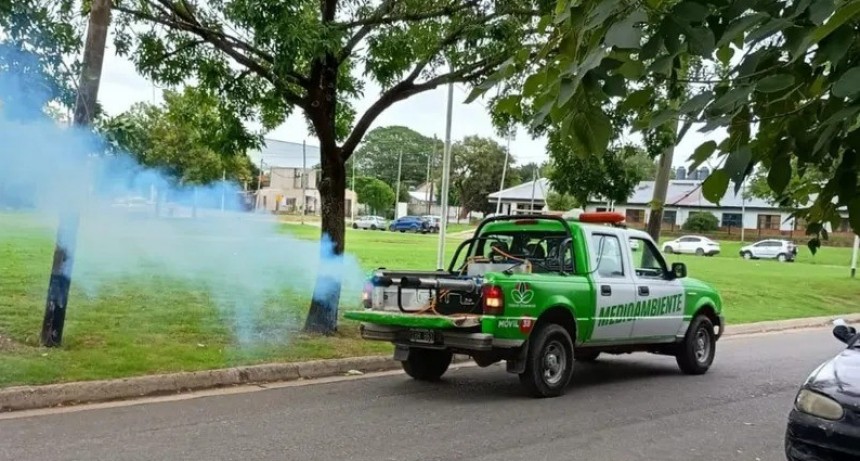 Cronograma de Fumigaci&oacute;n en el Distrito