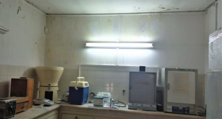 Carta del Lector....