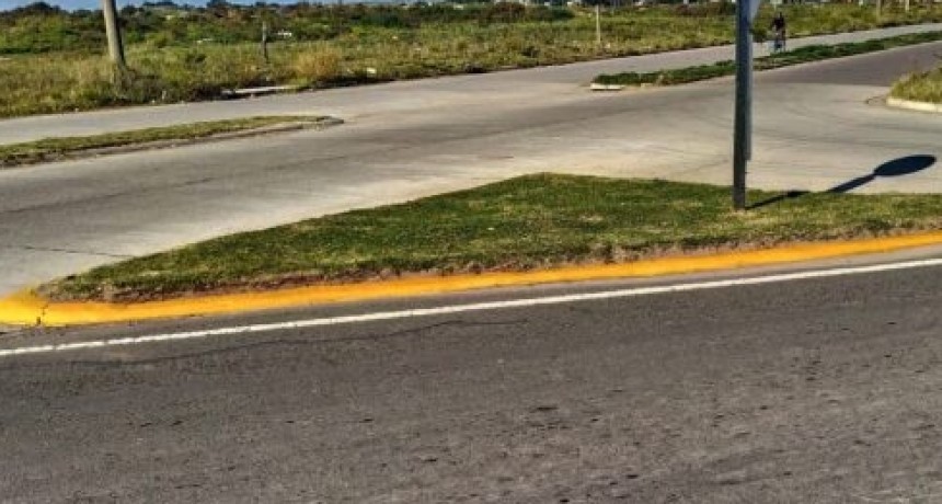 Desde Tr&aacute;nsito se realizan trabajos de pintado de cordones y rotondas para seguridad vial 