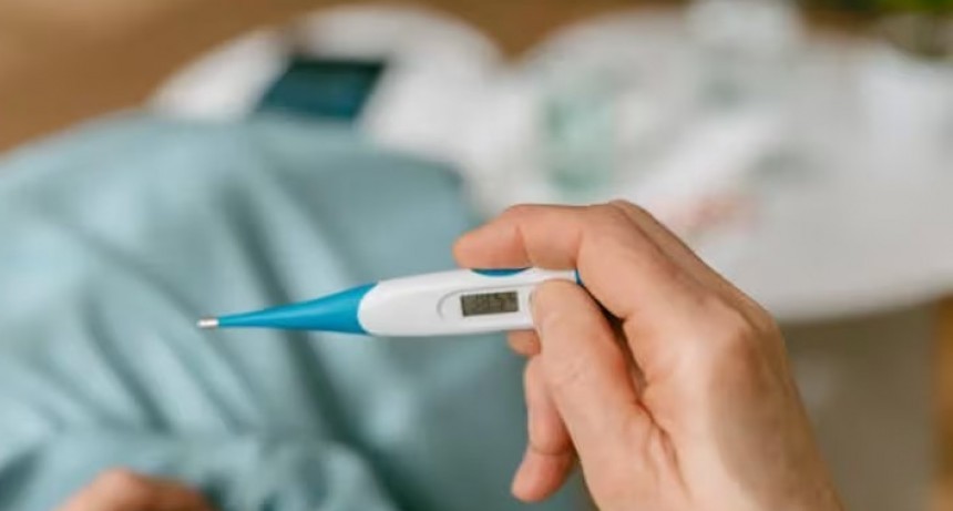 Dengue grave: qui&eacute;nes tiene m&aacute;s riesgo de desarrollar formas severas de la infecci&oacute;n