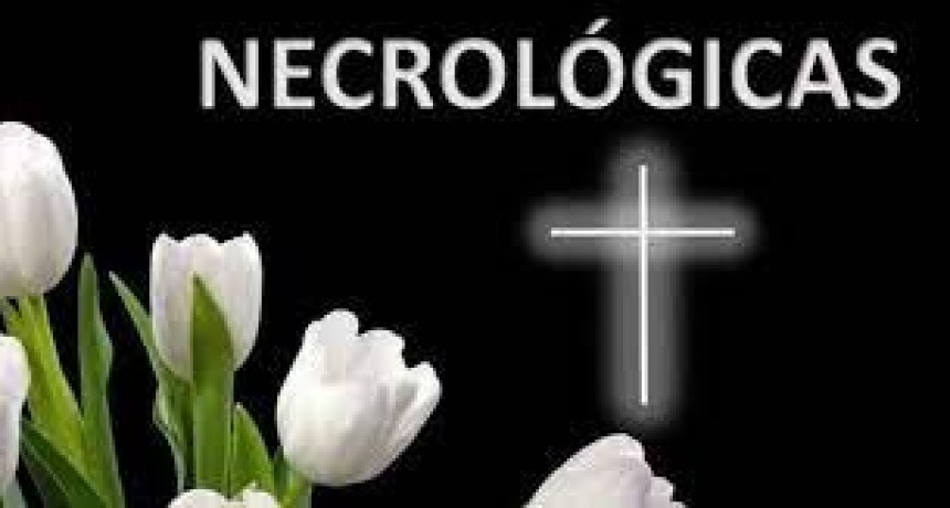 RESUMEN DE LOS SERVICIOS BRINDADOS EL FIN DE SEMANA