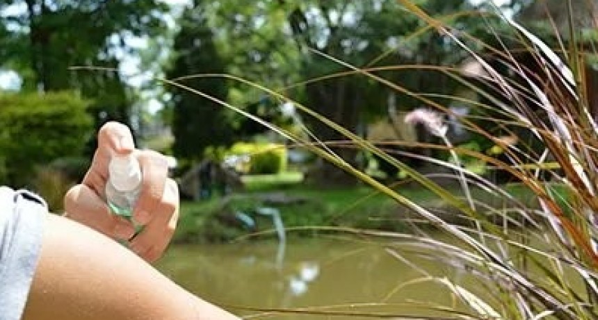 Primer caso de Dengue aut&oacute;ctono en la Ciudad