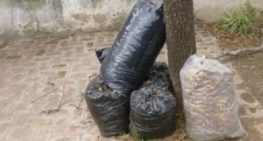 Recolecci&oacute;n de residuos voluminosos: Nueva Bah&iacute;a desde hoy y hasta el sabado