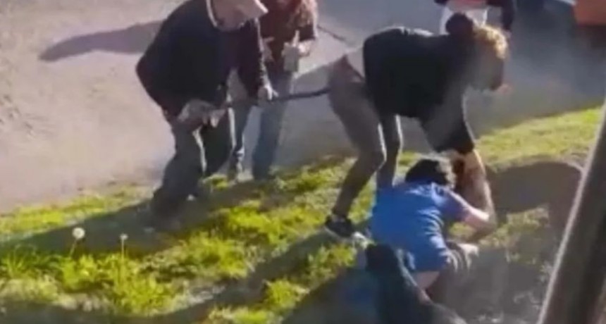 El pitbull que mordi&oacute; a un joven en Villa Libre protagoniz&oacute; otro ataque en enero