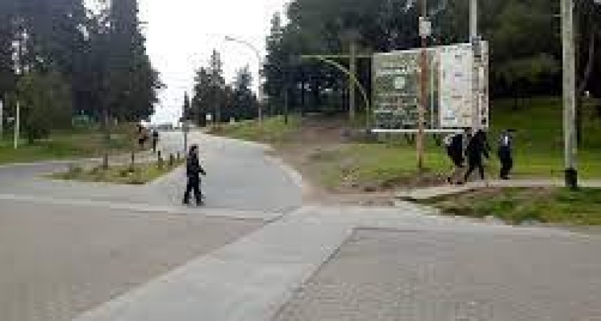 Perros en el Parque San Martin atacan de nuevo
