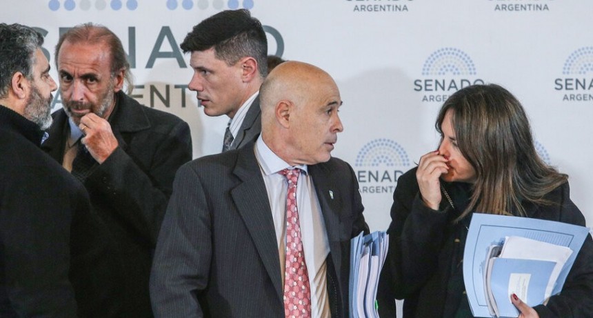 La ley Bases por fin logr&oacute; tener dictamen 