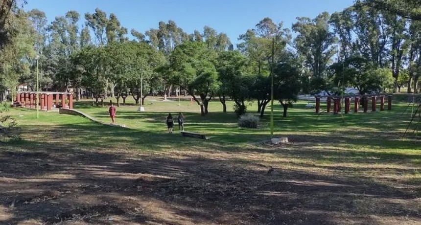  Forestaci&oacute;n: No habr&aacute; per&iacute;odo de poda habilitado.