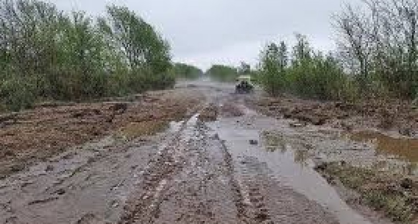 Fallo hist&oacute;rico: el cobro de la tasa por hect&aacute;rea deber&aacute; justificarse con servicios prestados